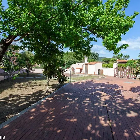 Appartement Happy Sardinia La Cinta 3
